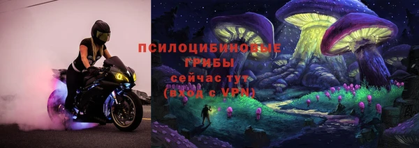МДПВ Абаза