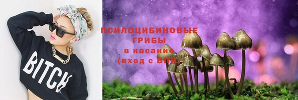 МДПВ Абаза