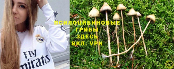 мескалин Абинск